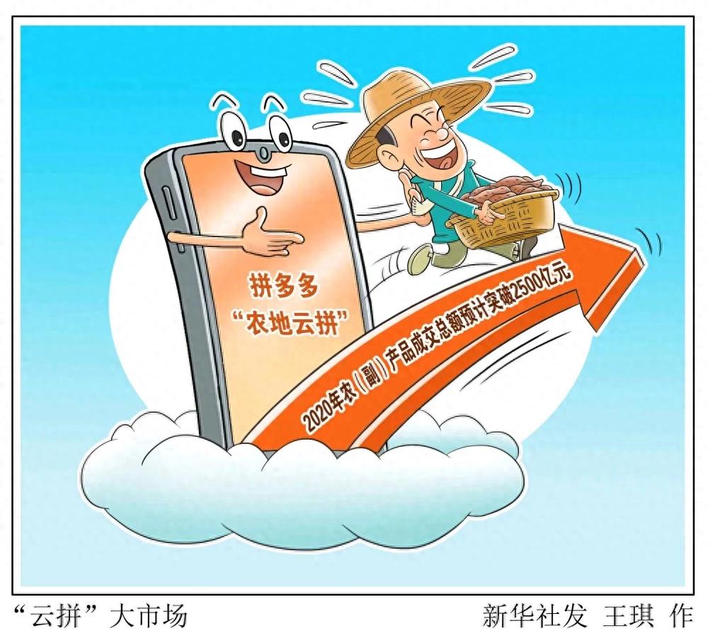 拼多多“农地云拼”系统运作模式解析