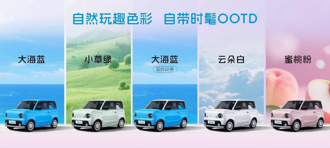 睿蓝蓝气球上市 微型纯电的搅局者 五菱会慌吗?